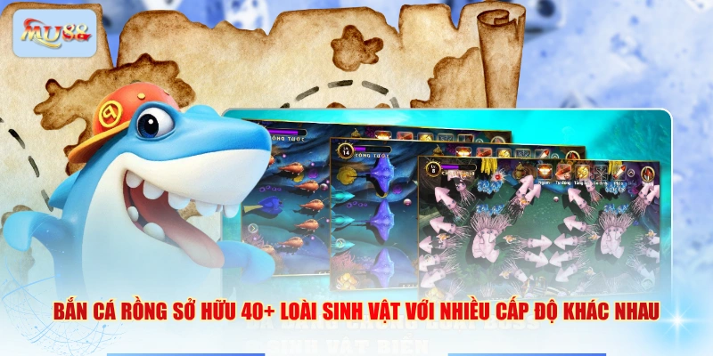 Bắn cá Rồng sở hữu 40+ loài sinh vật với nhiều cấp độ khác nhau