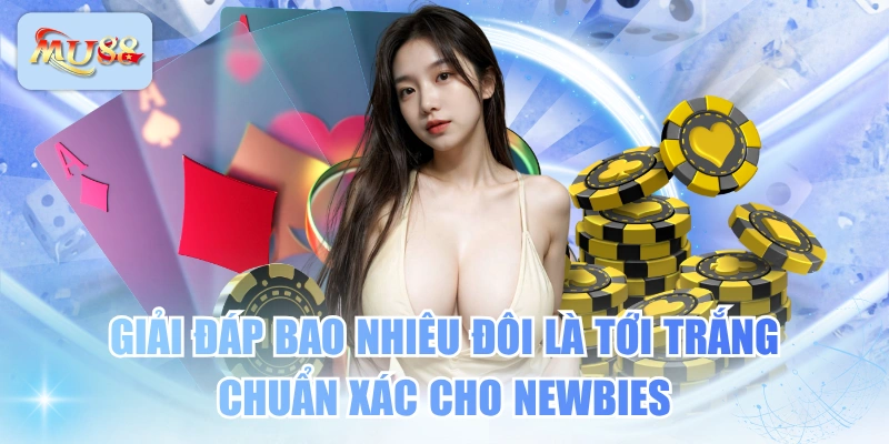 Giải Đáp Bao Nhiêu Đôi Là Tới Trắng Chuẩn Xác Cho Newbies